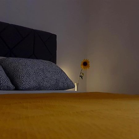 Casa Bella - Vracar Appartement Belgrado Buitenkant foto