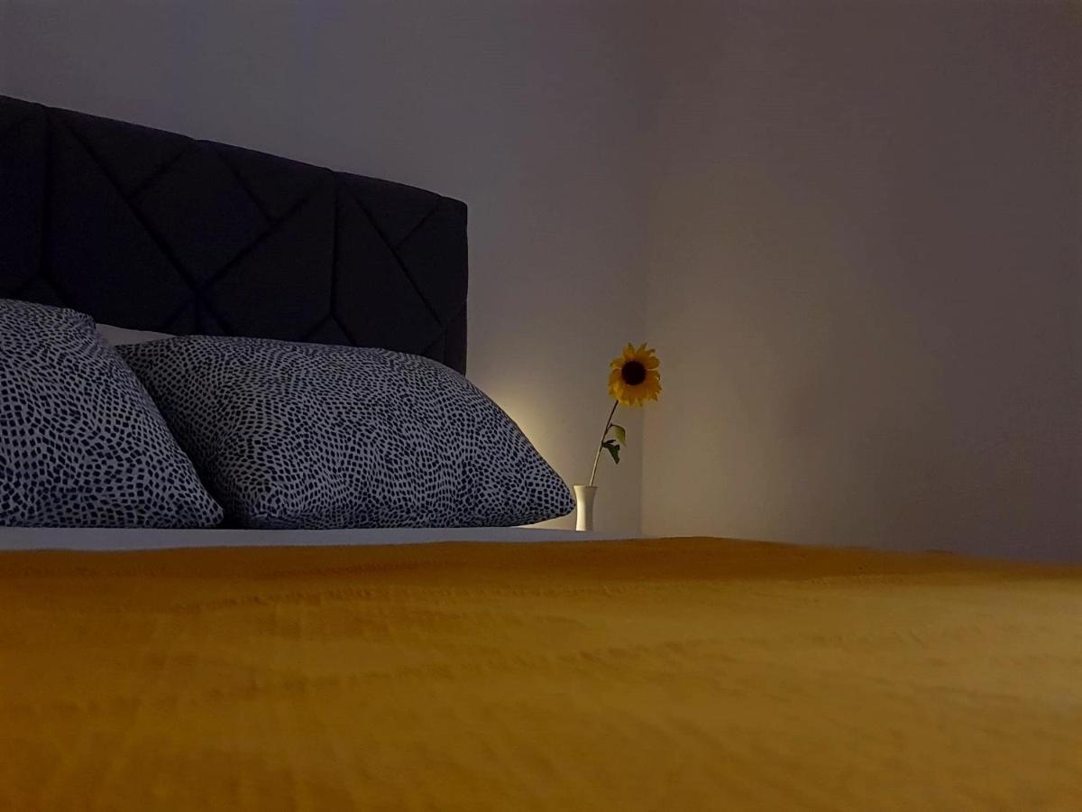 Casa Bella - Vracar Appartement Belgrado Buitenkant foto